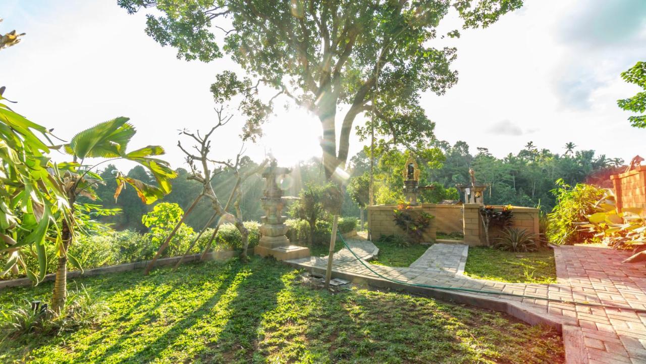 Anja Villas Ubud Tegallalang  Ngoại thất bức ảnh